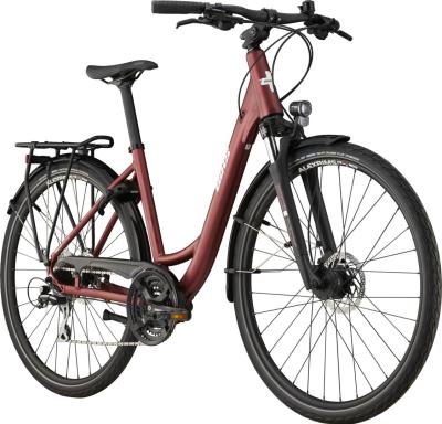 BIXS CAMPUS 3 DI BERRY dark berry L Produktbild 1