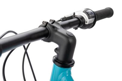 NALOO Chameleon 20", Mk2, 8-Speed, Purple Produktbild 4