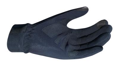Chiba Thermofleece Gloves black L Produktbild 1